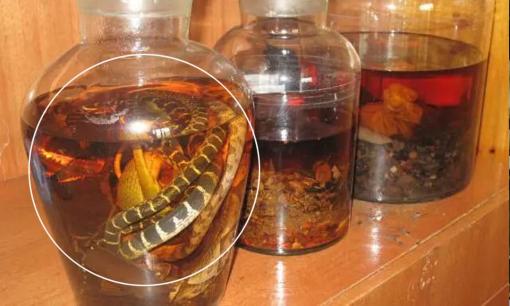 Vì sao rắn ngâm rượu 'lâu ngày không chết'? Nhiều người sốc khi giờ mới biết sự thật!