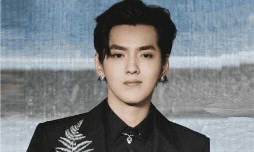 Ngô Diệc Phàm bị bắt để điều tra vì tình nghi cưỡng hiếp