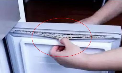 Dải tủ lạnh nhà bạn có bị bẩn và ố không? Mách bạn một mẹo nhỏ, ngay lập tức sạch sẽ như mới