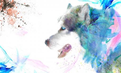 Tử vi tuần mới (9/8 - 15/8): top 3 con giáp gặp cực nhiều may mắn, giàu sang ngút trời, làm gì cũng thành công, cuộc sống viên mãn trọn vẹn