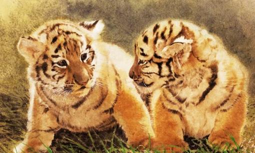 Thu sang, 3 con giáp gặp nhiều may mắn, có thể sắm nhà lầu xe hơi trong tầm tay