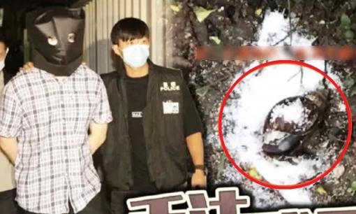 Giết 3 con ốc sên bằng muối, chàng trai 26 tuổi bị cảnh sát bắt, cư dân mạng: 'Tôi có bị bóc lịch nếu giẫm chết một con gián không?'