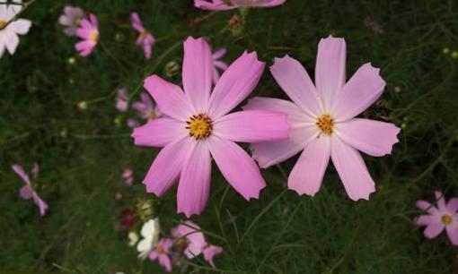 Khi người ta nghèo, cố gắng đừng tiêu tiền cho 3 thứ, nếu không khổ sẽ càng khổ