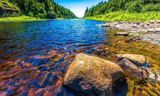 Dòng sông 'quý giá' nhất thế giới chứa những thứ đắt hơn vàng, được quân đội canh giữ bằng súng 24/24 giờ