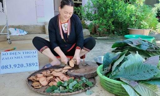 Lương y Triệu Thị Dung và niềm đam mê bất tận với những bài thuốc gia truyền chữa bệnh mãn tính