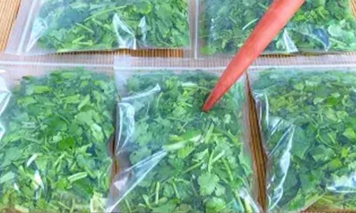 Cho rau mùi vào túi và bảo quản trong vòng 1 năm, ăn vẫn giống như rau mới mua
