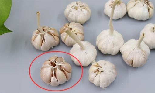 Chú ý khi mua tỏi: 4 loại tỏi không nên mua, vừa mùi vị kém vừa phí tiền