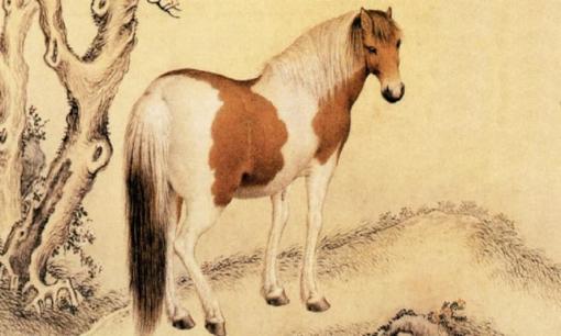 Top 3 con giáp gặp nhiều xui xẻo trong nửa đầu tháng 9 dương lịch, khó thoát khỏi vận đen, tài vận xuống dốc