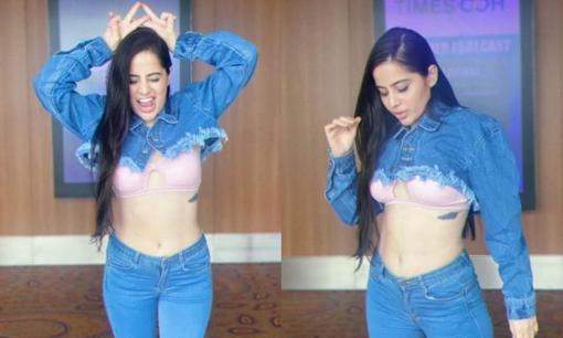 Bộ ngực màu hồng bên trong của nữ diễn viên Ấn Độ 24 tuổi bị cư dân mạng 'ném đá' tơi bời 