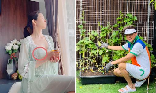 Sao Việt 12/9: Lệ Quyên bị nghi lộ điểm nhạy cảm vì không mặc nội y; Đàm Vĩnh Hưng diện đồ đẹp 'sống ảo' ở vườn rau hậu ồn ào sao kê