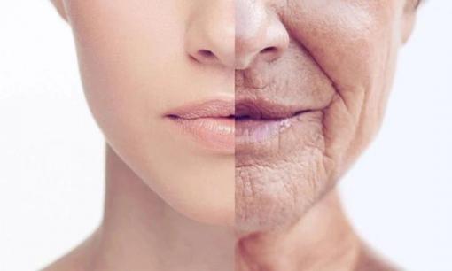 Ngoài việc thức khuya, hai thói quen này cũng sẽ làm “hao hụt” collagen của bạn và đẩy nhanh quá trình lão hóa