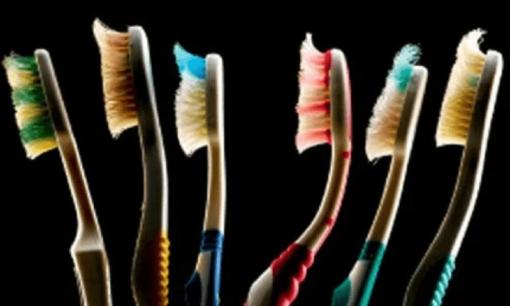 Có 100 triệu vi khuẩn trên bàn chải đánh răng của bạn, làm thế nào để giữ cho nó sạch sẽ?