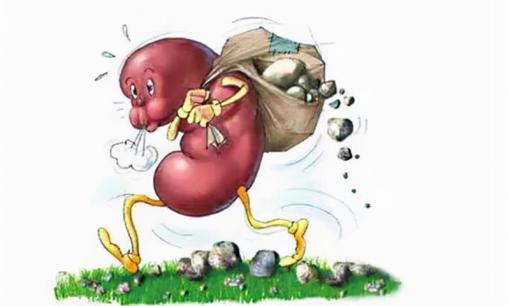 6 thói quen của đàn ông 'giẫm đạp' lên thận khiến thận bị tổn thương rất nặng, cái cuối cùng nhiều người đang làm