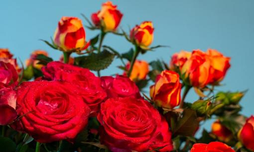 Muốn một người đàn ông yêu mình mọi lúc, hãy áp dụng ngay bí quyết 'ba điều không nên'