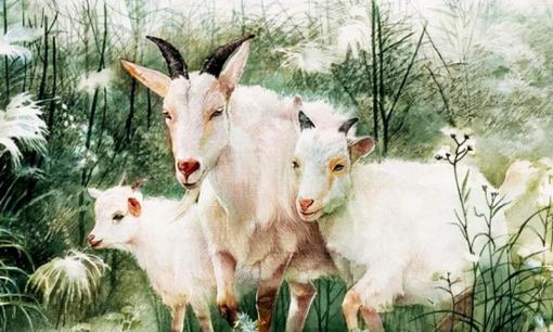 Từ tháng 10 đến tháng 12, 3 con giáp không có chuyện xấu, gặp nhiều điều tốt, sẽ trở nên giàu có trong một sớm một chiều