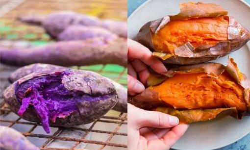 Khoai lang mật tốt hơn hay khoai tím tốt hơn? Hóa ra là khoảng cách quá lớn, đừng mua nhầm nếu bạn biết điều đó