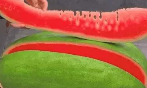 Háo hức chờ bổ quả dưa hấu siêu to khổng lồ, cái kết nhận được khiến dân mạng vô cùng hụt hẫng