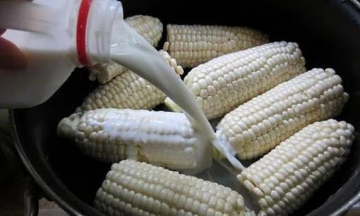 Muốn ngô luộc ngọt lừ, dẻo thơm từng hạt hãy thử cho thứ 'nước lạ' này vào