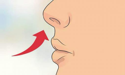 Tại sao chúng ta có 2 lỗ mũi nhưng lại thường tập trung dùng một bên để hít thở?