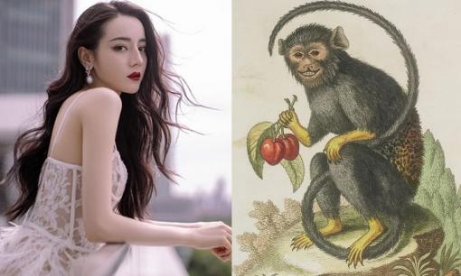 Những con giáp nữ khiến đàn ông không thể cưỡng lại, luôn ao ước muốn chinh phục