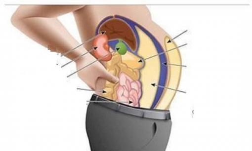 Làm thế nào để giảm mỡ nội tạng? 3 phương pháp giúp bạn đánh bay mỡ trong cơ thể, phục hồi độ săn chắc của vùng eo và bụng