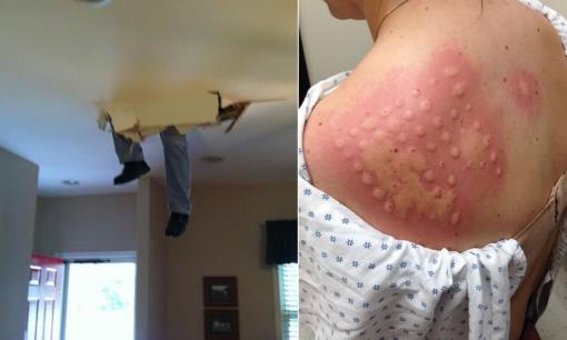 Loạt ảnh 'cười ra nước mắt' chứng minh cuộc sống không phải lúc nào cũng màu hồng 