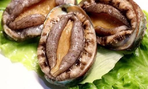 Lần đầu đi ăn bào ngư, nếu nhân viên hỏi bạn muốn gọi mấy 'đầu', đây là một câu trả lời chuyên nghiệp, nếu không sẽ khiến mọi người bật cười