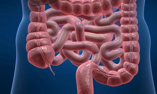 Để tránh xa căn bệnh ung thư ruột, hãy làm 4 điều này trước, tiếc là không mấy ai để ý