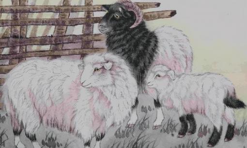 Nửa cuối tháng 11 dương lịch, top 3 con giáp tài lộc vượng phát, chuyển mình bất ngờ, đếm tiền mỏi tay