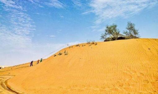 Tại sao cát ở sa mạc không thể dùng để xây nhà? Không thể được sử dụng ngay cả khi nó là miễn phí