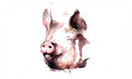 Hung vận lấn át, 3 con giáp xui xẻo cuối tuần này (20-21/11), làm việc gì cũng gặp nhiều bất lợi