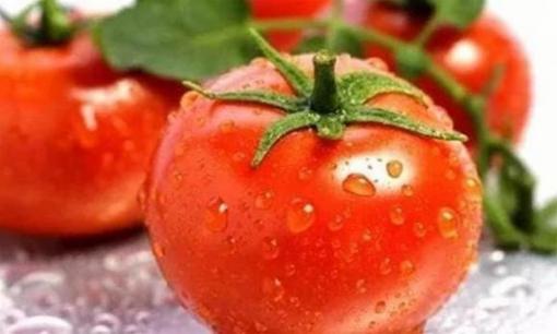 Cà chua không ăn được với '2 loại thực phẩm', đừng bỏ qua, hãy mách gia đình sau khi đọc