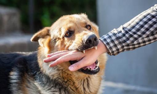 4 giấc mơ cho thấy kẻ ác đang ở gần, bạn có thể gặp rắc rối trong thời gian sắp tới!