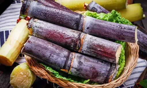 Khi mua mía nên chọn mía “sương muối” hay “đen”? Đừng mua ngẫu nhiên, mùi vị sẽ rất khác nếu bạn mua nhầm 