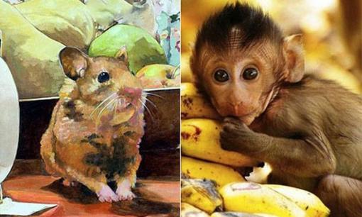 Tử vi 12 con giáp thứ 6 ngày 17/12/2021: Tuổi Tý làm gì cũng thuận lợi, Thân phải đối diện kẻ tiểu nhân