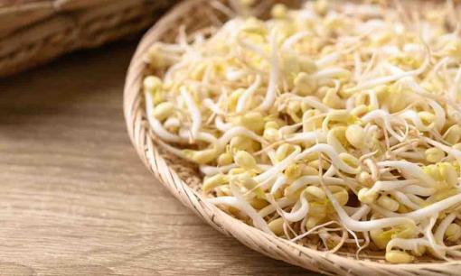 Cách giữ giá đỗ tươi, giòn, không bị thâm đen, để được lâu