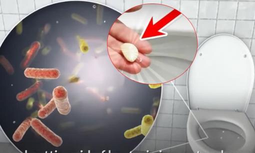 Tốt nhất là bạn nên cho tỏi vào nhà vệ sinh vào ban đêm, việc dọn dẹp trở nên dễ dàng hơn rất nhiều