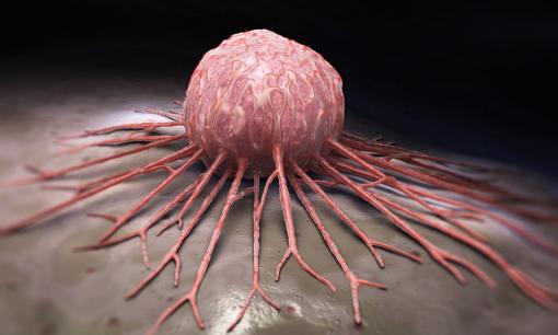 Ngăn ngừa ung thư và duy trì cuộc sống lành mạnh: 4 hành vi trước khi đi ngủ khuyên bạn nên hạn chế 