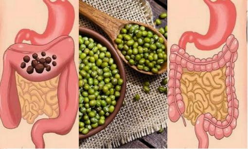 Muốn sống thọ, đường ruột phải luôn sạch khỏe: 5 thực phẩm phá hủy đường ruột nhanh nhất cần tránh