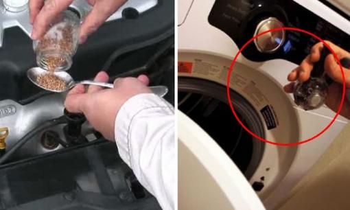 Cô ấy cho hạt tiêu đen vào máy giặt, lý do là gì? Điều này thực sự rất hữu dụng!