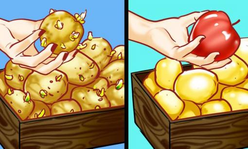  Bỏ một quả táo vào rổ sẽ giúp khoai tây không mọc mầm và loạt mẹo nhỏ hữu ích trong nhà bếp 