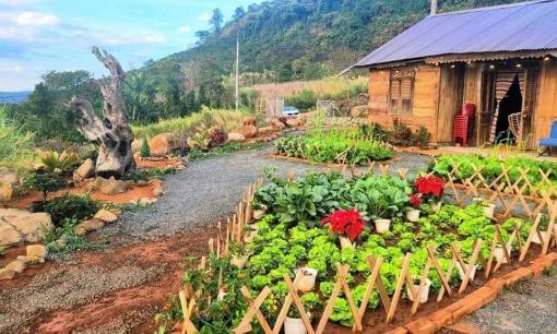 Do dịch Covid-19 phải cách ly ở Lâm Đồng, đôi vợ chồng trẻ chi tiền cải tạo nơi ở thành góc 'sống ảo' ai cũng mê