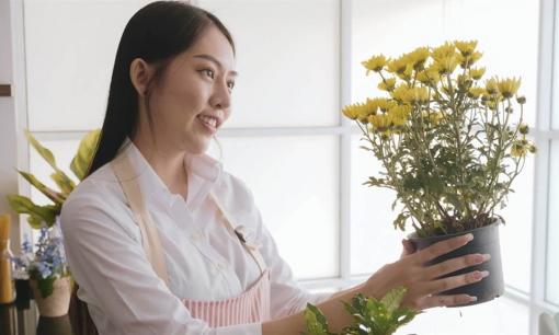 3 bí mật về phong thủy nhà ở để thúc đẩy sự giàu có vào năm 2022