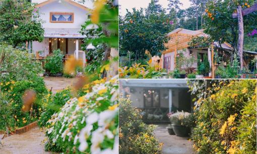 Bỏ phố về rừng, cô gái xây một ngôi nhà ngập tràn sắc hoa như trong truyện cổ tích