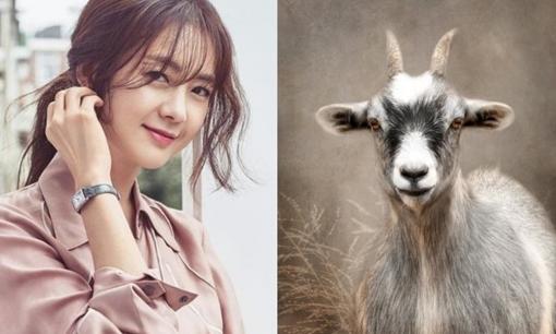 Vận may ập đến, 3 tuổi này phát tài bất ngờ, có cơ hội đổi đời trong 10 ngày tới