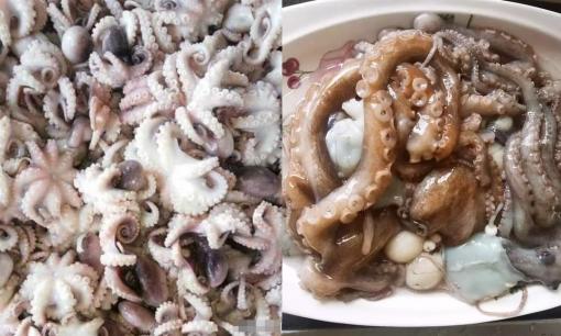 Khi mua bạch tuộc, “chân dài” hay “chân ngắn” ngon? Sự chênh lệch là rất lớn, nếu hiểu rõ rồi thì mua sẽ không bị hớ