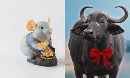 Tử vi 12 con giáp thứ 3 ngày 18/1/2022: Tuổi Tý đón tin vui tài lộc, Sửu dễ đụng độ tiểu nhân