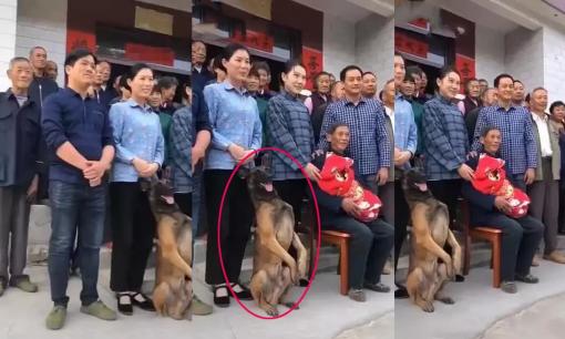 Khi cả nhà chụp ảnh, chú chó cũng ngồi phía trước với khuôn mặt tươi cười: 'Tôi cũng là một phần của cả nhà'