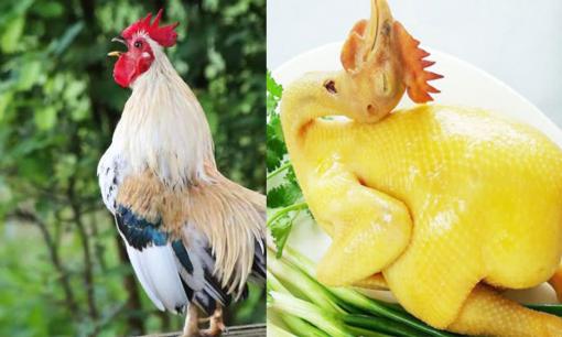Vì sao đêm giao thừa lại cúng gà trống nguyên con chứ không phải gà mái?