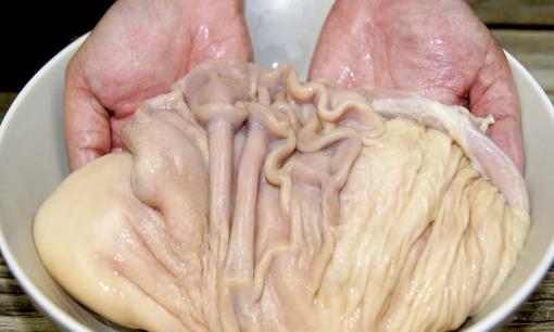 Người bán thịt: Đừng bảo quản trực tiếp dạ dày lợn trong tủ lạnh, dạy bạn cách bảo quản để không bị hỏng và giữ được cả năm